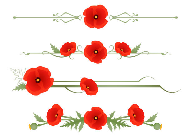 Poppy dividers A set of poppy flower themed divider lines oriental poppy stock illustrations