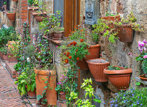 pot flowers on the street in Sovana Tuscany, Italy,