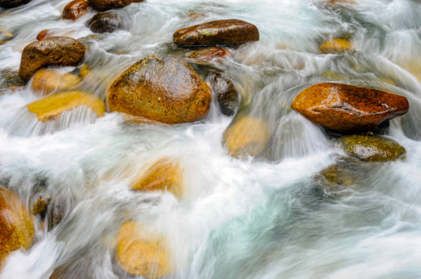 istock Wet brown rocks in Kavrun Creek 1611844702