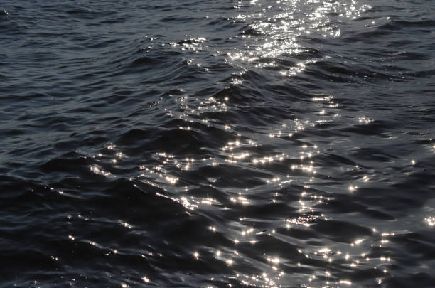 istock Ripples in the dark water 1611852798