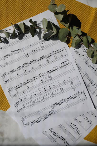 istock leaf with notes and dried flowers 1611856999