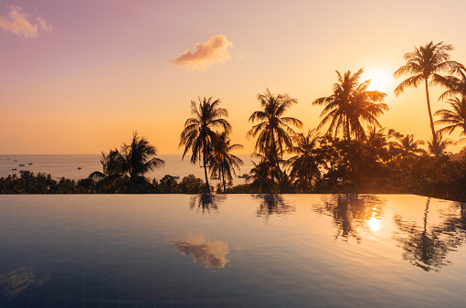 Sunny tropical landscape with reflections of palm trees in surface of water in pool on tropical paradise Koh Tao island during the colorful sunset