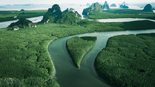 vista aérea del río en el bosque de manglares verdes y colina de piedra caliza en la bahía de phang nga, tailandia. - river aerial view delta rainforest fotografías e imágenes de stock
