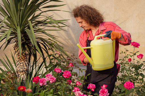Young man is watering flowers in the garden from a watering can.