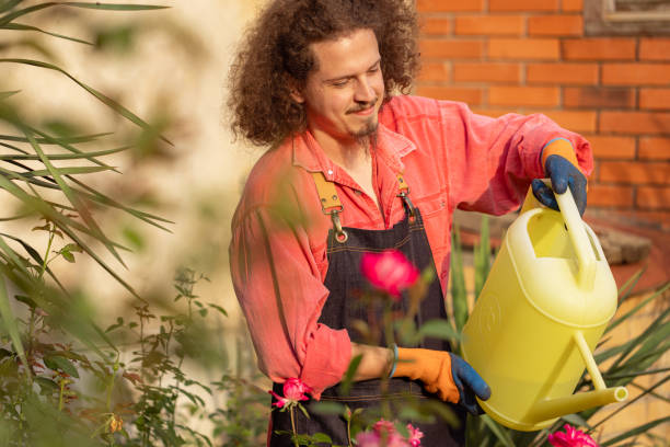 istock Watering the plants s 1611921927
