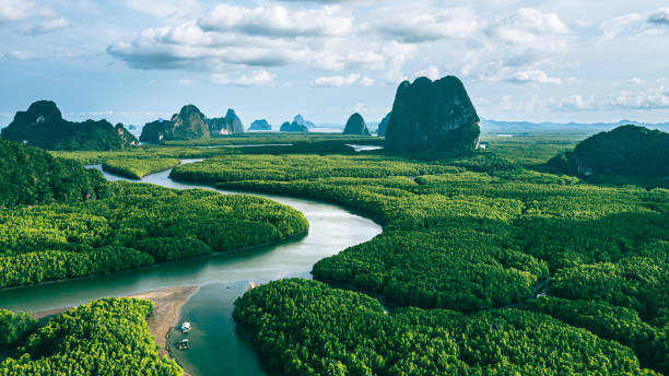 vista aérea del río en el bosque de manglares verdes y colina de piedra caliza en la bahía de phang nga, tailandia. - river aerial view delta rainforest fotografías e imágenes de stock