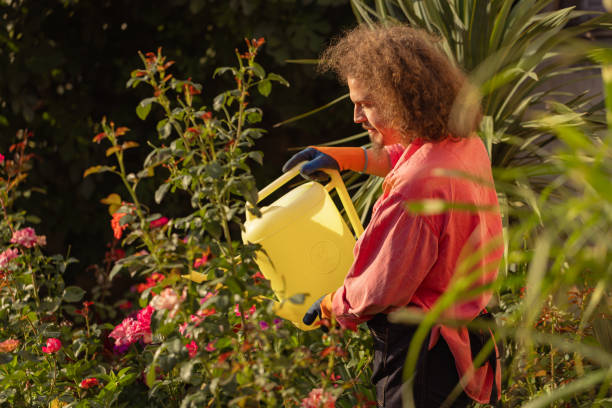 istock Man watering flowers in garden 1611923023