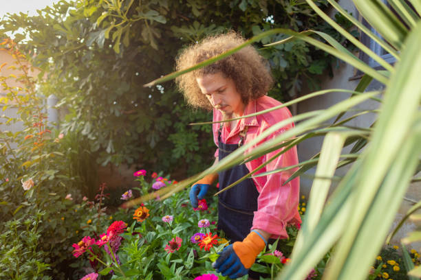 istock Only love and care for delicate flowers 1611927946