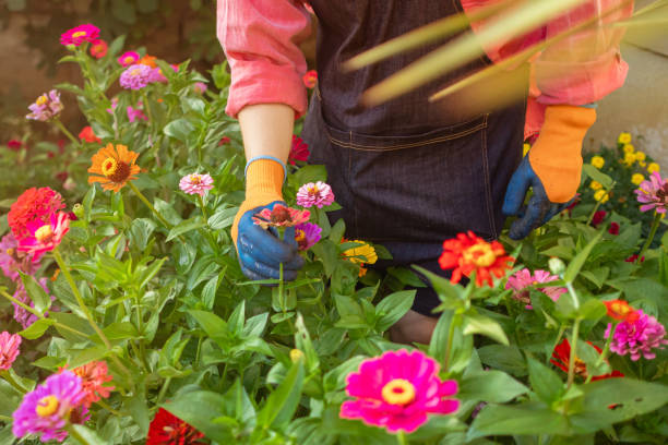 istock Part-time male gardener 1611928457
