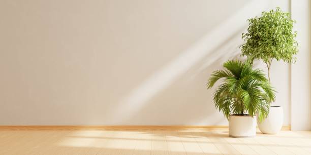 istock Empty room with wooden floor and potted plant. 1611942237