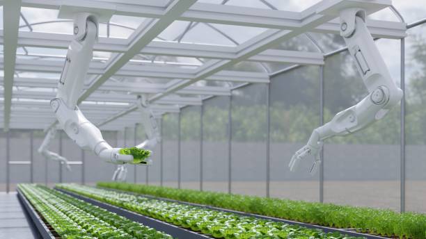 istock AI smart robotic farmers concept,Agriculture technology automation. 1611944640