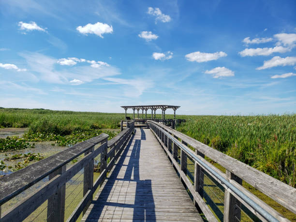 istock Point Pelee National Park 1611956925