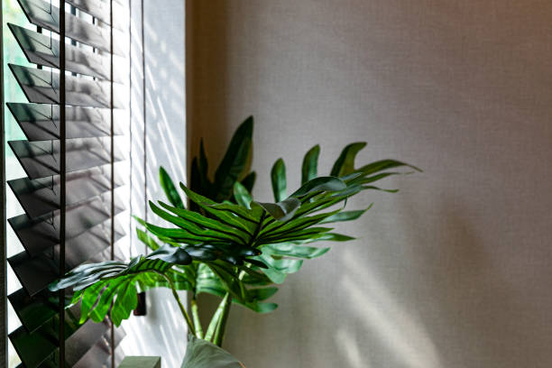 istock Trees by the window beside the mattress 1611962018