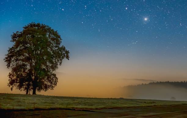 This photo captures the enchanting moment when the first rays of the sun illuminate the tree itself and the stars still shine on the horizon. The tree creates an impressive contrast against the warm glow of dawn, creating an almost fairy-tale atmosphere. The picture captures the beauty of nature and the mystique of early morning, when night becomes day.