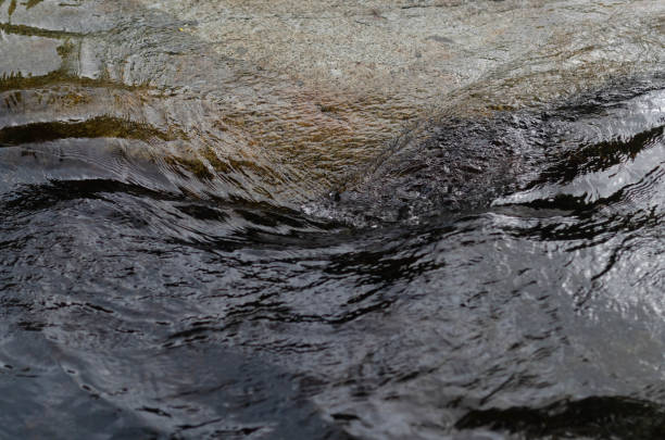 Riverbed of Little Pigeon River in Spring, Great Smoky Mountains National Park, USA