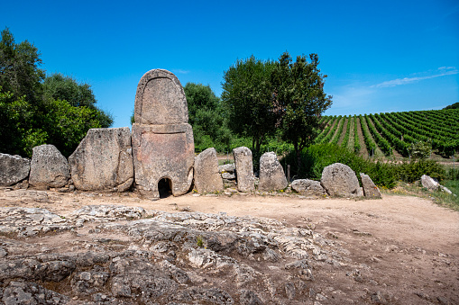 Tomb of the Giants S'Ena and Thomes - Dorgali . Wine fields in the background.
