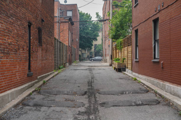 istock Alleyway in Montreal 1611971869