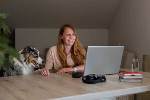 A woman sits at a computer in her home apartment, practices learning from home, monitoring lectures from home, zoom meetings, crisis situation, new way of working. Everything is subordinate to it, the dog sits with her.