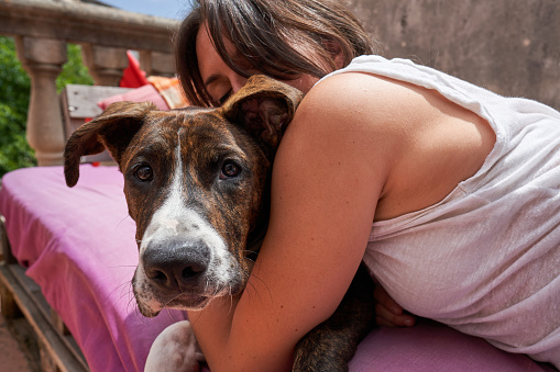 Happy crop woman in casual clothes bonding with pet while resting on purple mattress together on terrace of wooden house