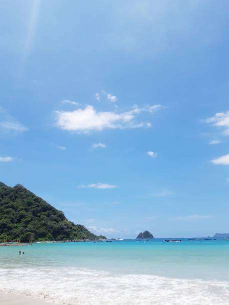 istock Beautiful Beach in Summer 1611992691