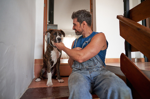Loving male owner in denim overall petting dog while sitting in stairs together at home