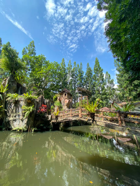 istock An artificial pond surrounded by green plants 1611995949