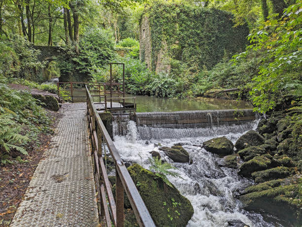 istock Walkway by a river at Edenvale in Ireland 1612025706