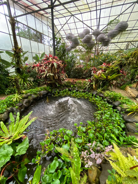 istock An artificial pond surrounded by green plants 1612031444