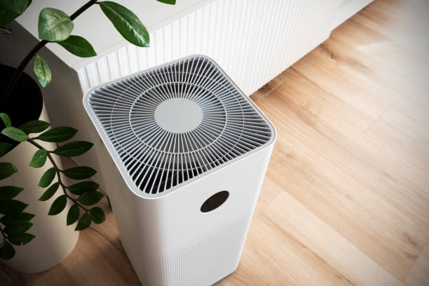 istock Air purifier in home. Smart home devices 1612033124