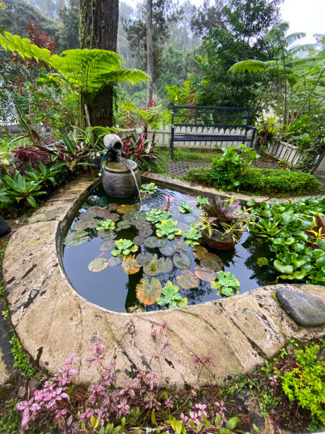 istock An artificial pond surrounded by green plants 1612040516