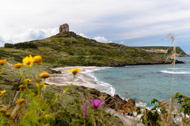 Rocky coastline with medieval tower and flowers in foreground stock photo
