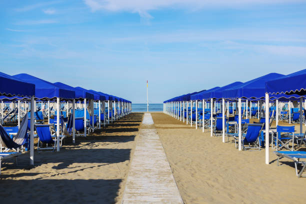 istock A beautiful sandy beach with rows of reed umbrellas 1612060758