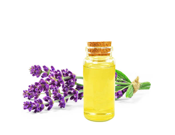 istock lavender oil in a bottle 1612074868
