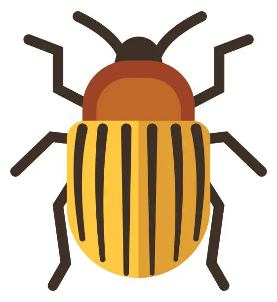 Vector illustration of Colorado potato beetle icon. Striped yellow pest