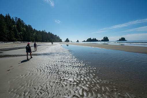 Olympic National Park, Washington - August 1, 2023: Hikers on Shi Shi Beach Trail near Neah Bay on sunny summer afternoon with Point of Arches in background.