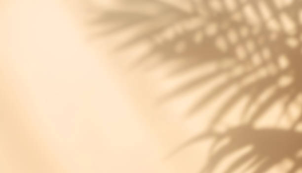 istock Blurred shadow from palm leaves on the beige wall 1612161826