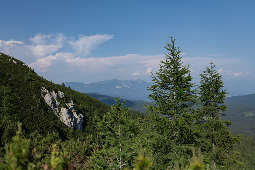 A view of the green forests of Pokljuka and Gorenjska from Mount Viševnik and the Julian Alps in Slovenia.