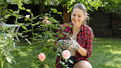 Beautiful smiling woman in gloves taking care of blooming roses in garden at house backyard.