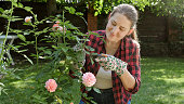 Portrait of young female gardener cutting leaves and taking care of roses in backyard garden