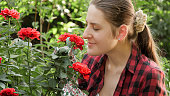 Portrait of woman gardener checking roses and smelling them. Gardening hobby and plant growing