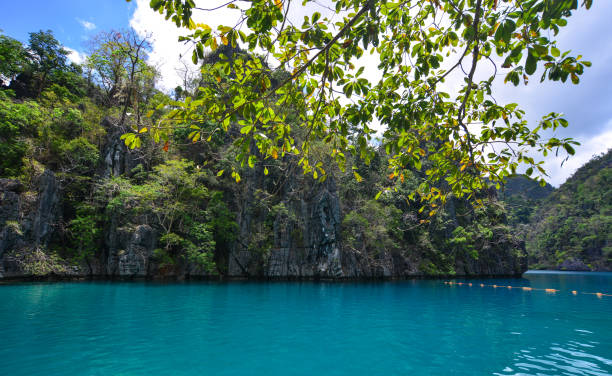 istock Seascape of Coron Island, Philippines 1612246110