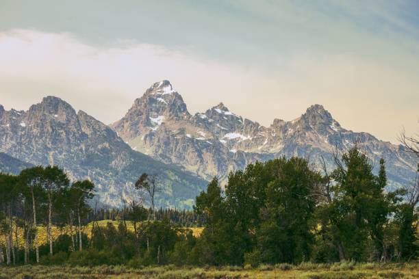 istock horses graze in a grassy area next to a mountain range 1612263169