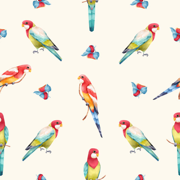 Rosella parrot seamless pattern on white background. Australian tropical bird and plant hand drawn illustration for fabric, wrapping, wallpaper, textile, apparel Rosella parrot seamless pattern on white background. Australian tropical bird and plant hand drawn illustration for fabric, wrapping, wallpaper, apparel, textile, echo parakeet stock illustrations