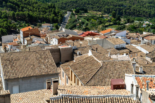 istock Barrel roof tiles 1612287927