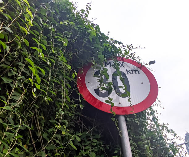 istock Road Sign, Speed Limit At 30 Km per Hour Zone 1612323177