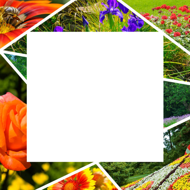 Colorful mixed flowers bottom border