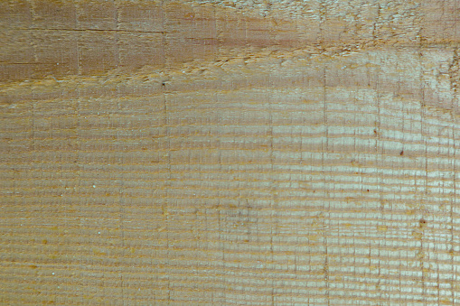 Wodden pattern wood plank wall texture background. Wodden structure close-up