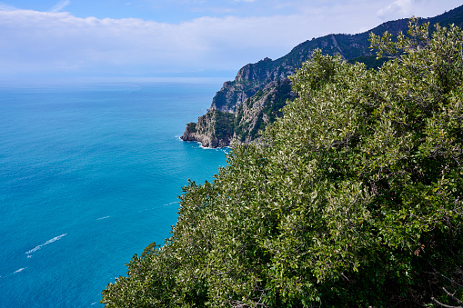 Mediterranean forest and coastline over Ligurian Sea in a sunny day of spring. Regional Natural Park of Portofino. Genoa. Liguria. Italy.
