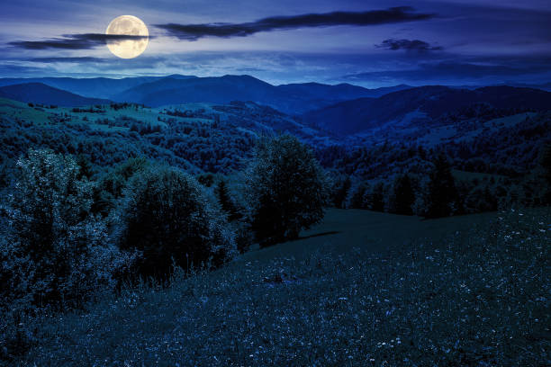 istock mountain summer landscape at night 1612399906