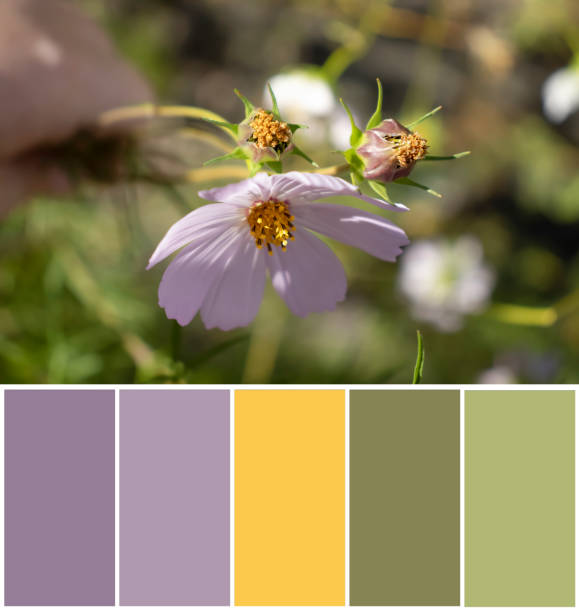 istock Beautiful flowers swatch color palette 1612405123